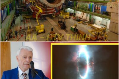 🧿 “Scientists at CERN Accidentally Unlocked Another Universe — and It’s Watching Us Back 👁️🌀”