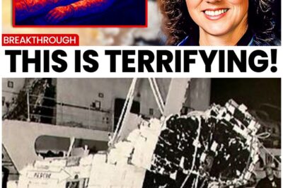 🚀 The Haunting Truth Behind the Challenger Disaster: New AI Thermal Scans Reveal What Really Happened to the Crew’s Bodies! Prepare to Be Shocked by the Findings! 😱