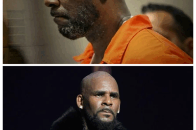 R. Kelly was hospitalized in what lawyers call an ongoing prison assassination plot