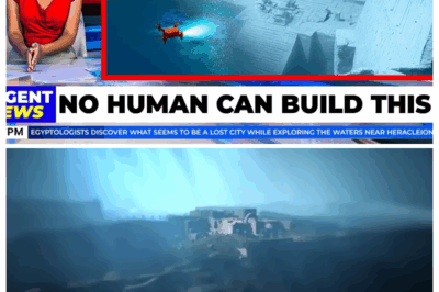 Experts Fly Underwater Drone Towards Egypt’s Sunken City...What They Discover Terrifies the World