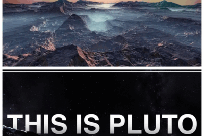 🐘 “What NASA Found on Pluto Left Scientists SPEECHLESS—The Truth Is Stranger Than Fiction!” 💥🪐 “When NASA’s New Horizons spacecraft sent back its first images of Pluto, scientists expected ice and rock—but what they found was something far more mysterious. Beneath the frozen plains lies evidence of geological activity… and something that challenges everything we thought we knew about our solar system.”