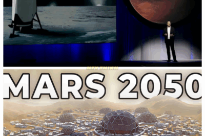 “🪐TWENTY YEARS TO A MILLION ON MARS? MUSK THINKS HE CAN DO IT—BUT DOES HE KNOW WHAT HE’S UNLEASHING?😱” Musk claims Mars could support a self-sustaining city of a million people within two decades, launching hundreds of Starships and mining ice for fuel. But space analysts call his schedule reckless and unrealistic—and whisper that turning humanity into a two-planet species could fracture our society before it ever takes off.👇