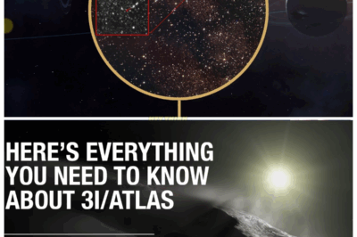 “👽IS IT ALIEN? EVERYTHING YOU NEED TO KNOW ABOUT 3I/ATLAS—THE COSMIC VISITOR THAT’S TURNING HEADS AND BREAKING RULES💥” 3I/ATLAS isn’t your average comet—it’s an object so bizarre that scientists are calling it unnatural. From its massive size to its irregular behavior, some believe it could even be alien technology. As it speeds through our solar system, we’re learning more about it every day—but what’s truly behind this object? Is it a comet, a ship, or something even stranger?👇