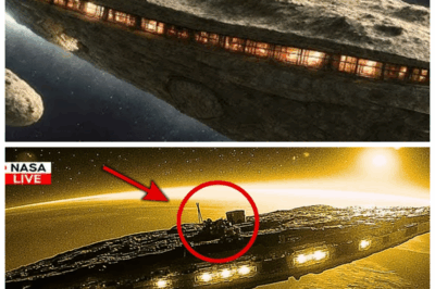 “James Webb Snaps Historic Mars Flyby Photos of 3I/ATLAS—The Cosmic Secrets They Unveiled Are Terrifying!” 🌌 In an unprecedented first, the James Webb Telescope has captured stunning images of 3I/ATLAS as it hurtles past Mars. These images reveal shocking details that challenge everything we thought we knew about space. What did the telescope find? The answers are unsettling and could change humanity’s understanding of the universe forever. Prepare yourself for revelations that will keep you awake at night. 👇