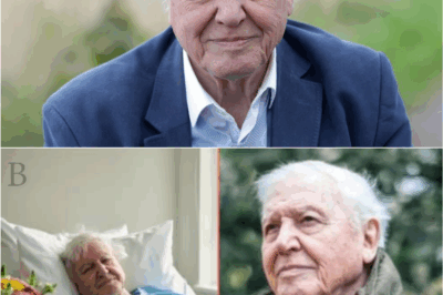 “Sir David Attenborough’s Heartbreaking Confession: The Voice of the Earth Faces His Greatest Fear”