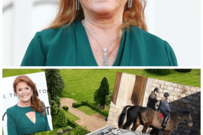 🐘 SCANDAL REBORN: Fergie’s Defiant Stand Reopens Old Wounds—Will She Finally Reveal What the Royals Fear Most? 🔥 As she steps back into the spotlight, old controversies resurface, daring Fergie to spill the truths that could forever change the royal family’s fate. “History repeats itself—especially when you refuse to stay quiet.” 👇