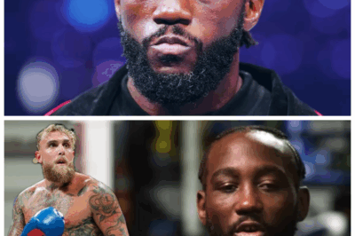 🐘 CELEBRITY CLASH CHAOS: Crawford vs. Jake Paul Cancelled—MVP Picks Anthony Joshua, Sparking Accusations of Rigged Deals and Broken Dreams! 💣 The boxing world explodes with conspiracy theories as insiders whisper about secret contracts, money grabs, and a spectacle that leaves true fighters out in the cold. “Sometimes, the loudest punch comes from behind the scenes.” 👇