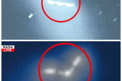 Voyager 2 Just Turned Back and What It Discovered Will CHANGE EVERYTHING — The Shocking Revelation That Left the World in CHAOS 🌌 In a jaw-dropping twist that no one saw coming, Voyager 2—one of humanity’s greatest space missions—did something NO ONE expected. It turned back, and what it found could send humanity into a frenzy. A discovery so mind-blowing, so cosmic, it’s hard to even fathom. What’s lurking out there, in the deepest reaches of space? The truth is out, and the world will never be the same again. Get ready to have your reality shattered! 👇