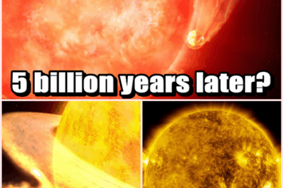 🔥Is This How the World Ends? Earth Could Be SWALLOWED Alive by the Sun in Five Billion Years – Scientists Reveal Terrifying Future for Humanity! 🌞