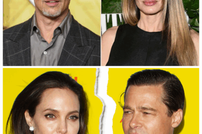 Why did Brad Pitt “push” his ex-wife into a corner?  Nearly 10 years after their divorce, Brad Pitt and Angelina Jolie still cannot get over each other as the legal battle surrounding Château Miraval drags on, pushing both of them into a spiral of honor and power disputes.