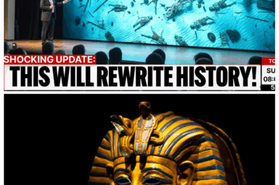 Divers Found Pharaoh’s Army Beneath the Red Sea — The Discovery Left Egyptologists Frozen!