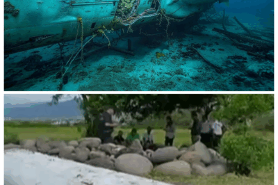 After 11 Years, an Underwater Drone Reveals New Evidence.