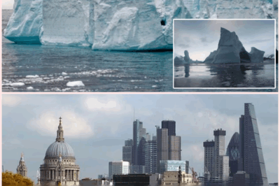 MASSIVE ICE COLLAPSE WARNING: Antarctica Could Flood the Planet by 2300—10-Meter Seas Could Swallow U.S. Cities!