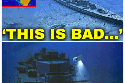 Underwater Drone Flown Towards Bismarck Wreck What They See Terrifies The World