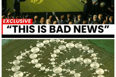Crop Circle Mystery Finally Solved… What it Revealed Is Shocking