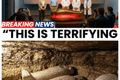 Why Experts Refuse to Open the Tomb of Egypt’s Youngest Pharaoh – and It’s Terrifying