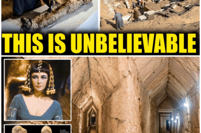 Archaeologists Unearth Secrets of Cleopatra’s Tomb: Breathtaking Discoveries That Could Rewrite History and Reveal the Queen’s Hidden Life! 👑🏺