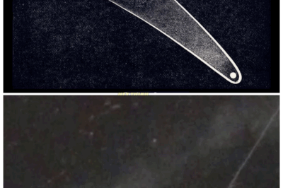“⚠️WHEN THE TAIL TURNS AROUND: ANTI‑TAIL ON 3I/ATLAS CAUGHT IN THE ACT—AND SCIENCE IS STAGGERED👁️” Observers report a strong elongation in the glow of 3I/ATLAS toward the Sun—an anti‑tail caused by large icy grains released from the nucleus behaving in defiance of normal comet physics. This complex morphology suggests the visitor’s composition and history are tangled in ways our models don’t account for, and the space community is buzzing with “we don’t know what this means.” 👇
