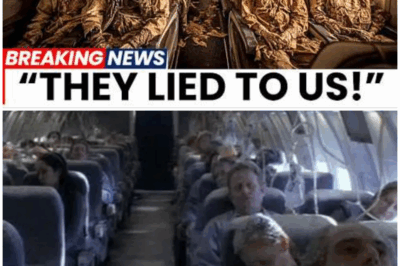 ✈️ Unraveling the Chilling Mystery of Helios Flight 522: How AI Finally Solved the “Ghost Plane” Enigma—And What It Revealed Will Terrify You! 😱