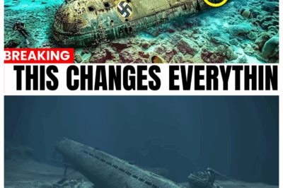 What Salvage Divers Found Inside Sunken Nazi Germany Submarine Will Leave You Speechless