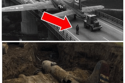 WWII Plane Vanished in 1945 — 80 Years Later, President Trump Made a Shocking Discovery…
