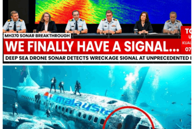 Deep Sea Drone 100x Stronger Sonar Picks Up MH370’s Signal, May FINALLY Solve Everything