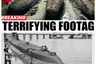 Hitler’s Secret Submarine Base Finally Opened After 81 Years — What Was Inside Will Shock You