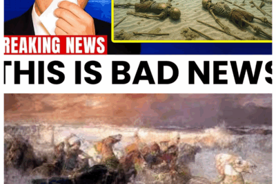 Salvage Divers Just Found Pharaoh’s Army Beneath the Red Sea