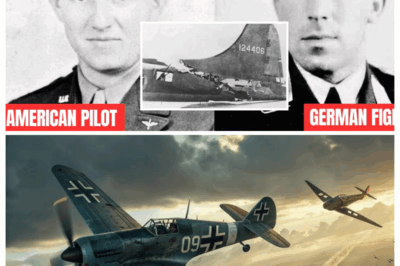 The American Pilot Searched 40 Years for the Enemy Who Saved Him — Then They Became Brothers