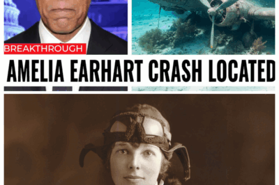 After 88 Years, Amelia Earhart’s Plane Was FINALLY Found — The Truth Changes Everything