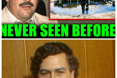 Here’s What the FBI Found in Pablo Escobar’s Mansion After His Death That Shocked Everyone!