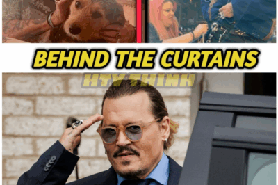 🦊 “THE TRUTH THEY FEARED” — JOHNNY DEPP EXPOSES 8 BURIED SCANDALS THAT COULD SHAKE HOLLYWOOD TO ITS CORE 💥🔥