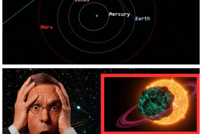 🐘 “NASA Can’t Explain Why 3I/ATLAS Appears TRAPPED Around the Sun—Avi Loeb Sounds the Alarm!” ☀️😱 “In an unprecedented discovery, NASA scientists are baffled by new data showing that 3I/ATLAS, the mysterious interstellar object, seems to be orbiting—or trapped—around the Sun. Astrophysicist Avi Loeb calls it ‘a cosmic riddle,’ hinting that this might not be a natural phenomenon at all. What’s holding 3I/ATLAS in place?”