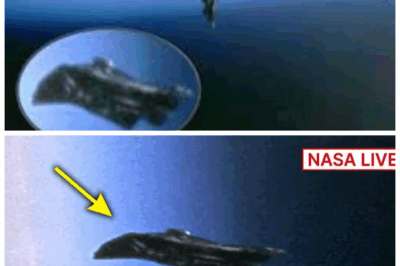 “9 Mysterious Objects Surround 3I/ATLAS—Are They Watching Us From Space?” 👽 A discovery so strange it defies explanation—9 mysterious objects are now in orbit around 3I/ATLAS, traveling through the solar system with it. But what are they? Alien surveillance? Unseen cosmic forces? NASA’s latest findings are sending shockwaves through the scientific community, and the question is—are we being observed by something far more intelligent than ourselves? The truth is out there, and it’s coming for us. 👇