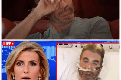 SIMON COWELL’S 65-YEAR-OLD HEARTBREAK 💥😢 ERUPTS AS HE OPENS UP ABOUT THE ONE LIFE-ALTERING MOMENT THAT CHANGED EVERYTHING, A PRIVATE WOUND HE HID BEHIND SMIRKS, SUCCESS & SHARP REMARKS—UNTIL NOW 🎙️💔 Sources say his revelation is less tragedy and more emotional reckoning, a painful truth about ambition, loneliness and the hidden toll of living in the spotlight 👇  3️⃣