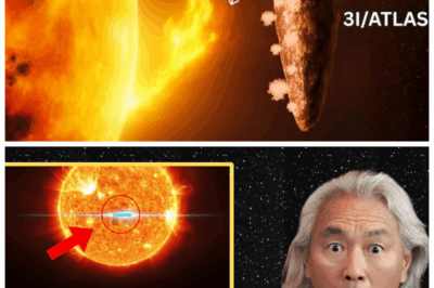 🐘 NASA Finally Releases NEW 3I/ATLAS Images—And It Looks Much Worse Than We Thought, Says Michio Kaku 🚀💥: The new images of 3I/ATLAS have just been revealed, and according to renowned physicist Michio Kaku, the findings are far more disturbing than anyone anticipated. “This could change the fate of our planet.” What scientists are now seeing could be the most alarming discovery yet. Prepare for a revelation that will leave you questioning everything. 👇