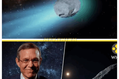 “💥3I/ATLAS IS CHANGING—CHINA’S NEW DATA CONFIRMS TERRIFYING ANOMALIES NASA WON’T DISCUSS👽📡” Beijing’s scientists leaked numbers they can’t explain: plasma jets behaving like Morse code, core temperatures dropping to impossible lows, and a strange rhythmic pulse every 88 minutes. Loeb calls it a cosmic distress signal. Others call it a countdown.👇