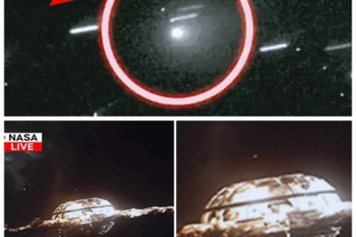 “Voyager 2’s Shocking Message to Earth: A Cosmic Warning That Could Destroy Us All!” 😨🚀 Voyager 2 has sent back a transmission that has scientists in total shock and fear. What did it uncover in the deep reaches of space, and why is the world suddenly in crisis mode? This cosmic warning is unlike anything we’ve ever encountered. The transmission hints at something so terrifying, it could alter the course of humanity’s future. The truth is finally coming to light—and it’s darker than you could imagine! 👇