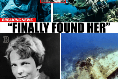 “After 88 Years, Amelia Earhart’s Remains Finally Found on Remote Island”