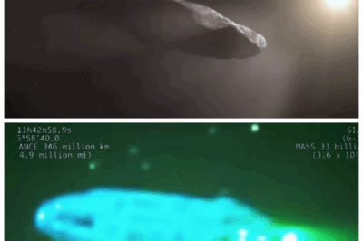 🐘 NASA Stunned by 3I/ATLAS: Magnetic Mayhem, Global Unrest, and Avi Loeb’s Wild Theories Ignite a Space Scandal 🌍 The world watches in disbelief as 3I/ATLAS sends Earth’s magnetic field into chaos—NASA is stunned, global unrest erupts, and Avi Loeb’s wild theories ignite a scandal that could rewrite history. “Sometimes the universe doesn’t care about your credentials.” 👇