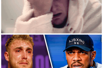 🐘 Broken Rules, Broken Spirits: Jake Paul’s Collapse, Joshua’s Unforgiving Stance, and the Shocking Twist That Changed Everything 🥊 Broken rules led to broken spirits as Jake Paul collapsed under pressure, Joshua stood unforgiving, and a shocking twist changed the fight—and their fates—forever. “When the rules get rewritten, so do the legends.” 👇