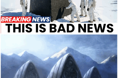🌍 Unveiling the Antarctica Conspiracy: Retired Navy SEAL Reveals Shocking Secrets About a Hidden Civilization Beneath the Ice—What They Discovered Will Change Everything! ❄️