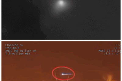 🐘 “NASA in Turmoil: China’s Shocking Image of 3I/ATLAS Unleashes a Storm of Theories! 🌍” “Just when you thought it was safe to look up!” The release of the first real image of 3I/ATLAS has not only baffled NASA but has also ignited a frenzy of speculation among conspiracy theorists and scientists alike. As the agency struggles to maintain its reputation, the world is left wondering: what does this mean for our understanding of the cosmos? With every passing moment, the pressure mounts, and the potential for explosive revelations looms large. Buckle up, because this celestial rollercoaster is just getting started! 👇