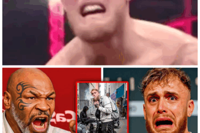 🐘 Mike Tyson SHOCKS the World with Savage Attack on Jake Paul After Gervonta Davis Fight Cancellation – ‘This Is What Happens When You Run From Real Fighters!’ 💔 Mike Tyson has completely destroyed Jake Paul, unloading on the social media star after Paul cancelled his bout with Gervonta Davis. Tyson’s brutal comments are sending shockwaves through the boxing world, leaving Paul with no place to hide. “This isn’t just a fight—it’s a public humiliation. Will Jake Paul ever step into the ring again?” 👇