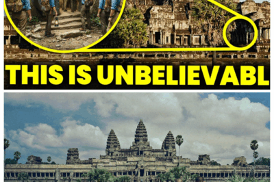 They Just Found a Hidden Vault Beneath Angkor Wat — And It Changes History Forever