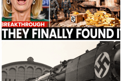 1 MIN AGO: Lost Nazi Gold Train from WWII Found! — Guess Where… For eighty years, a Nazi armored train lay hidden beneath Polish forests, rumored to carry immense wealth. In 2015, treasure hunters claimed to find it, and the world waited as a sealed underground chamber was opened. But beyond the wall, there was no gold—only haunting evidence of erased lives and secrets never meant to surface. The discovery sparked sudden silence and official shutdowns, leaving historians questioning what was truly found. What could be so disturbing that every investigation stopped? Some treasures aren’t lost for fortune—they’re buried to conceal the darkest truths of war, hidden beneath layers of fear and time.