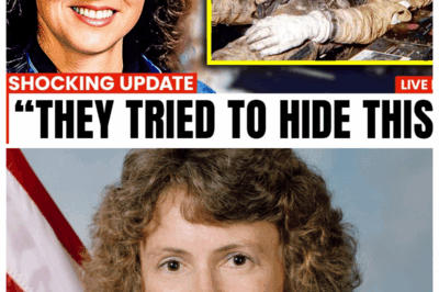 NASA Tried to HIDE What Happened to the Challenger Crew — The Truth Is NOT What You Think