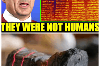 “It May Be Hard To Believe, But X-Ray Revealed This Inside The Herculaneum Scrolls” – Brent Seales