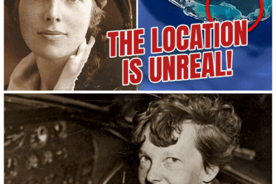 Amelia Earhart’s Plane was Just Found! The Location Will Shock You