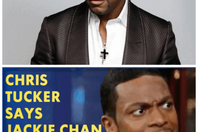 🐘 Chris Tucker Discusses His ‘Rush Hour’ Stunts and Jackie Chan on David Letterman! 💥 “On The David Letterman Show, Chris Tucker revealed an unexpected truth about his role in Rush Hour: he performed many of Jackie Chan’s stunts!” This revelation surprised fans and shed light on the behind-the-scenes dynamics of the film. Tucker’s willingness to take on such challenges speaks to his adventurous spirit and the collaborative nature of action filmmaking. 👇